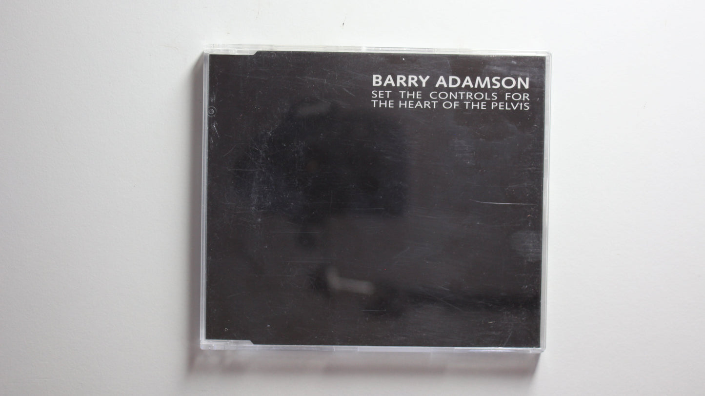 Barry Adamson - Set The Controls For The Heart Of The Pelvis (VG)