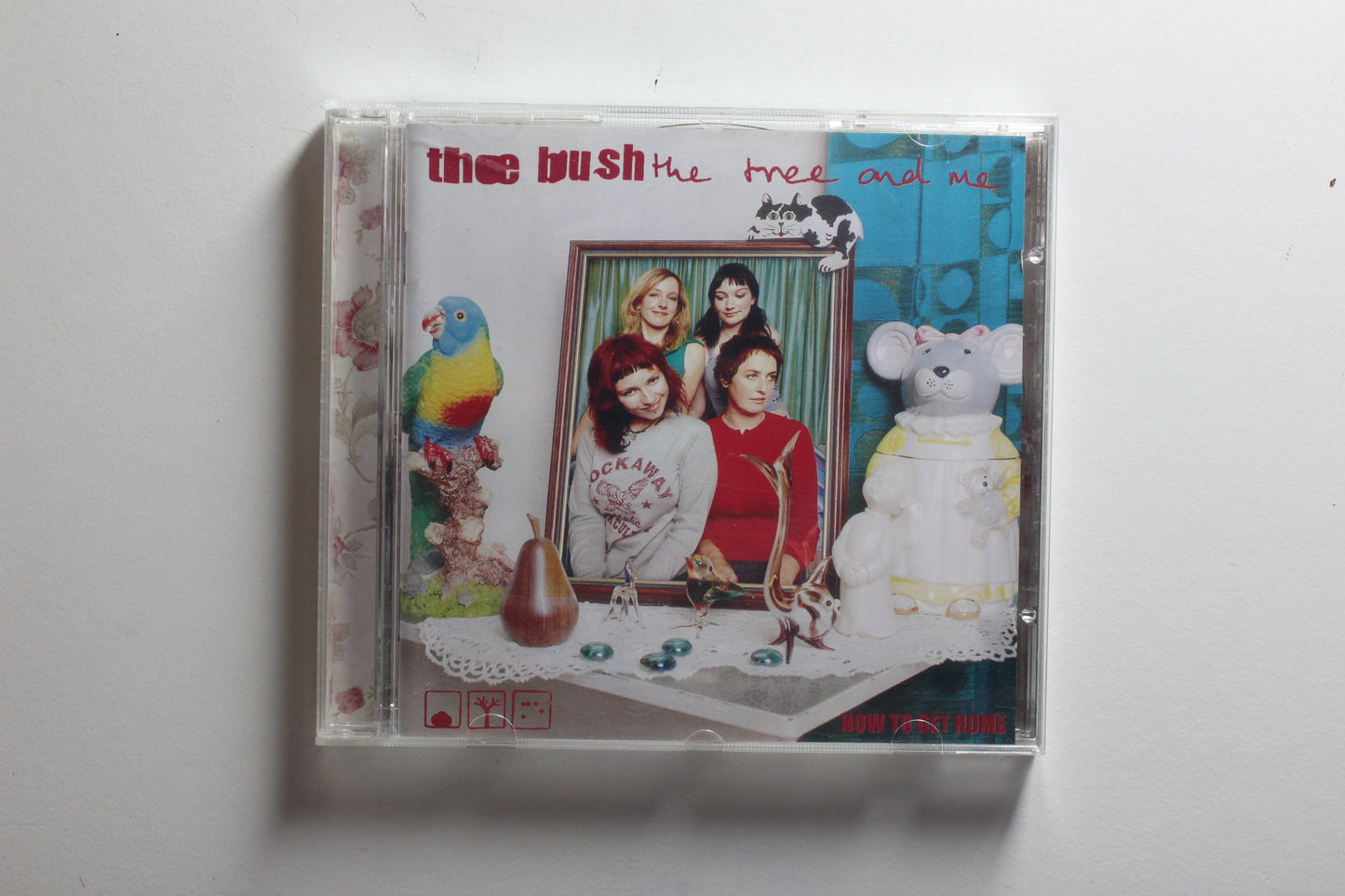 The Bush The Tree And Me - How To Get Home (NM-)