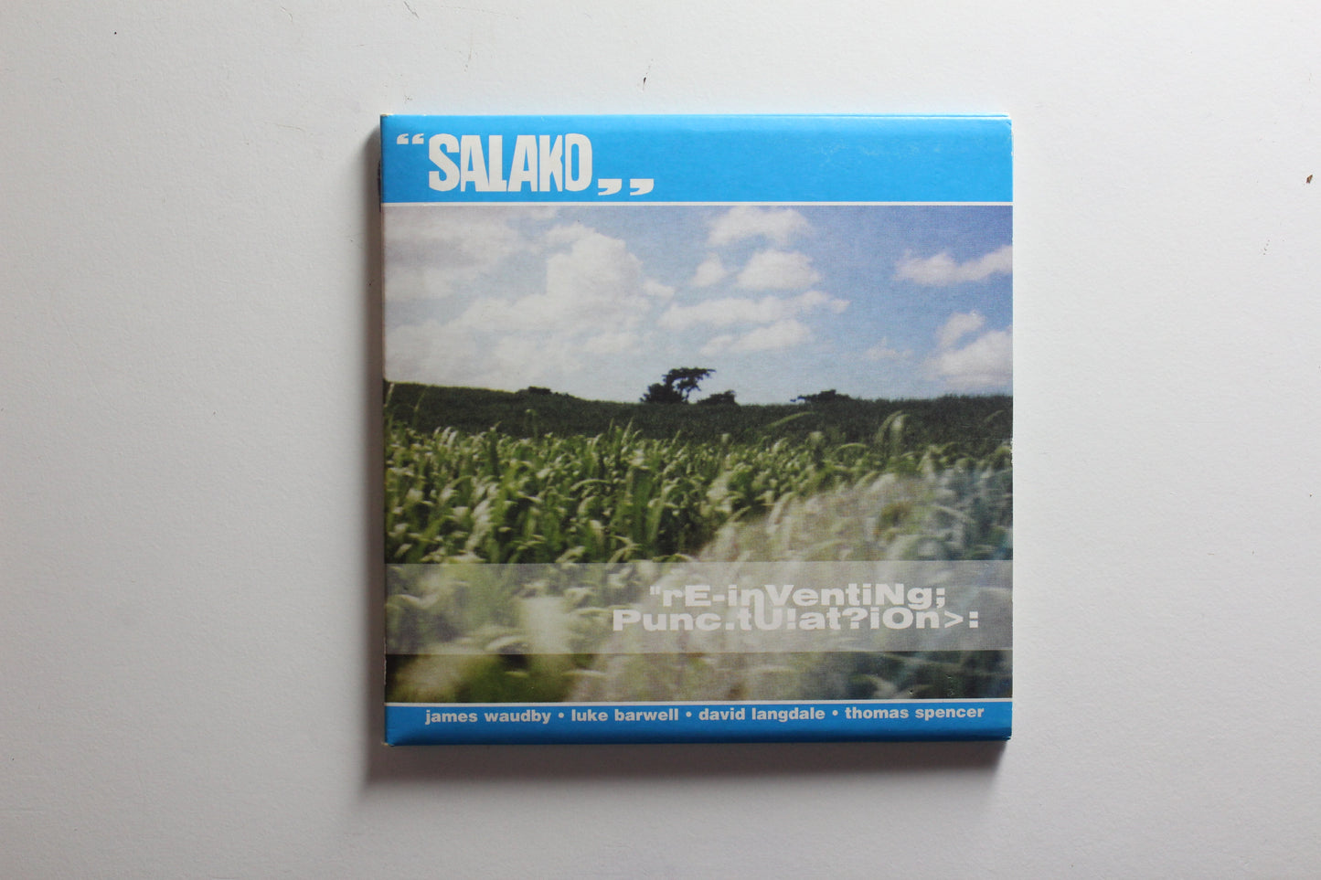 Salako - Re-inventing Punctuation (G+)