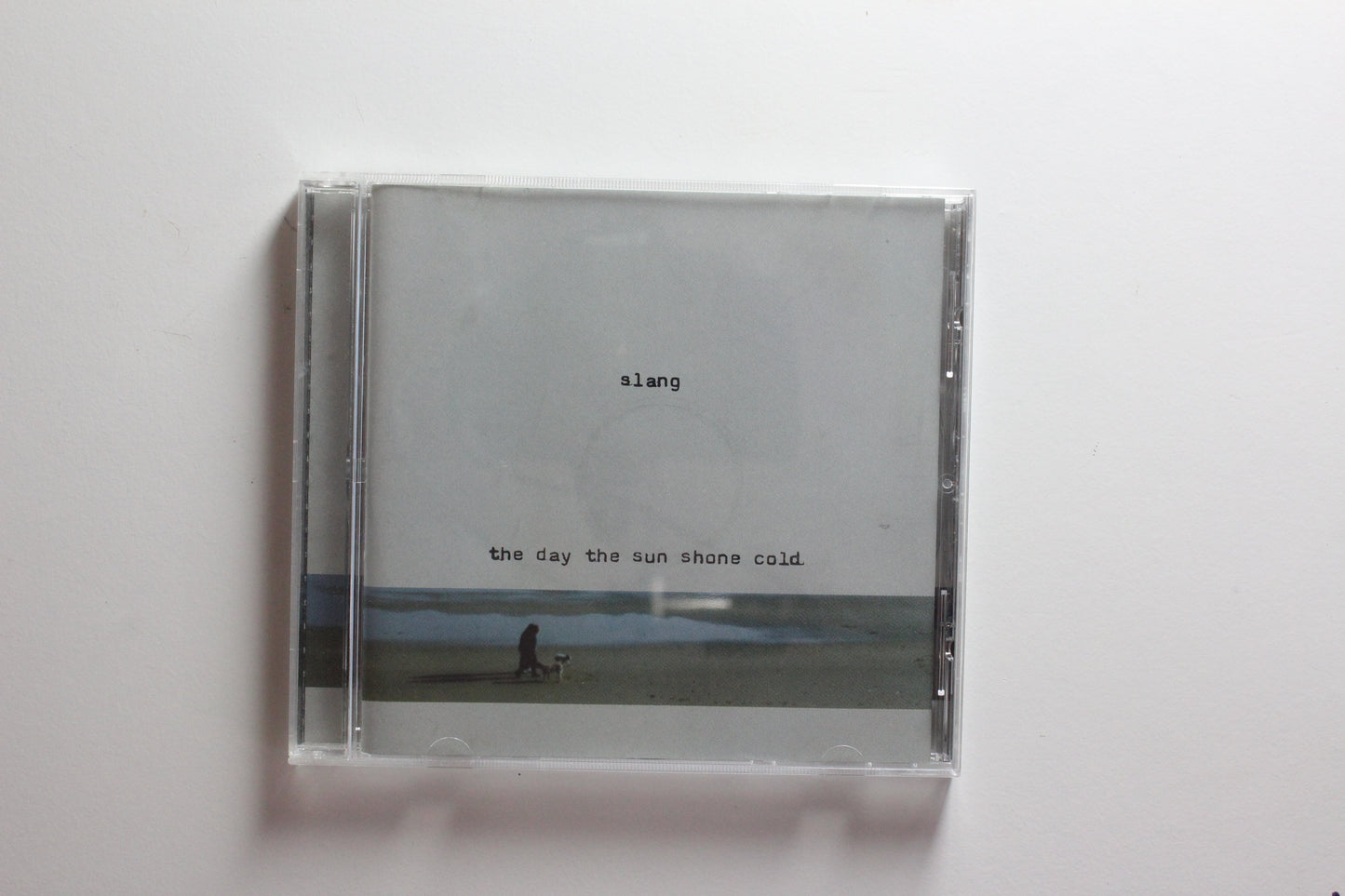 Slang - The Day The Sun Shone Cold (VG)